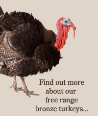 about Maryfield farm turkeys